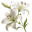 A cluster of white lilies with green stems and leaves.