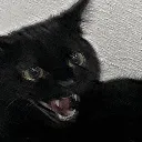 e3c91e1d2673d7d0ffede661f6fb875c