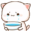 cryyy_nc