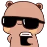 bade_logs_nc