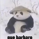 A panda wearing a hat sitting in the snow with the text que barbaro written below it.