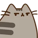 9pusheenannoyed
