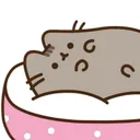 9pusheencomfy