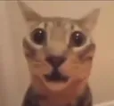 1scaredfella