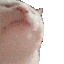 5498_catJAM