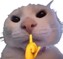 774627shhhhh