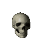 7651spinningskull