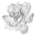 00121