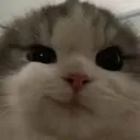 emoji_137