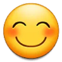 samsungflushhappy