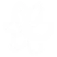 00163daisydoodle