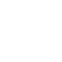 00163spiderwhite