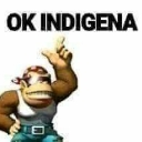 Donkey Kong wearing a bandana points his finger upward with the text OK INDIGENA written above him.