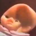 :bee: