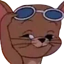 sunglassesjerry