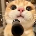 cat_with_gun Discord emoji
