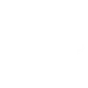 PartnerWhite