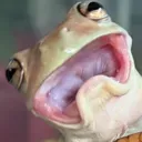 froggo_why