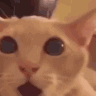 NOWAY Discord emoji