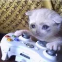 catgamer