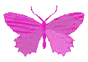 firstnightColor_pink