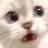 :catscared: