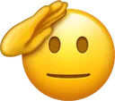 :0xemotes_salut: