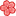 :ie_red_flower: