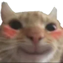 7cBlushcat custom emote from Asobu
