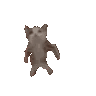 catydanceycat animated emote | Asobu