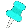 rnx_s_pin