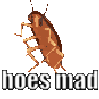 hoesmad