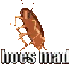 hoesmad