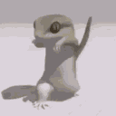 lizarddance