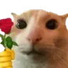 catrose