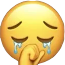 sigh_katsu