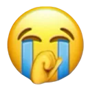 sob_katzu