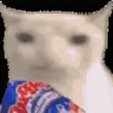 popcorncat_katsu