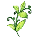 green_katsu