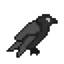 black_katsu