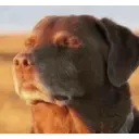 :imcooked: