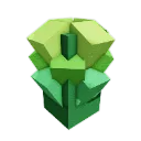RomanescoSeed