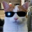 :kool: