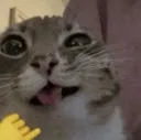 emoji_17