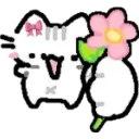 cat_flowers
