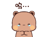 :cry_run: