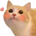 catblush2 catblush2