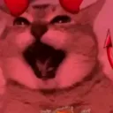 muajajs