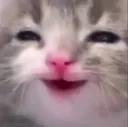 smile