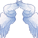 wings